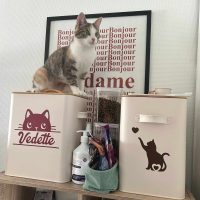 Création artisanale, boite à croquette en métal personnalisée