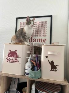 Création artisanale, boite à croquette en métal personnalisée