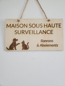 pancartes, animaux, bois, personnalisation, gravure