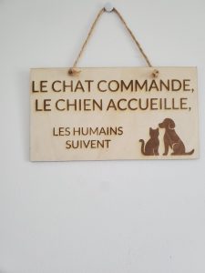 pancartes, animaux, bois, personnalisation, gravure